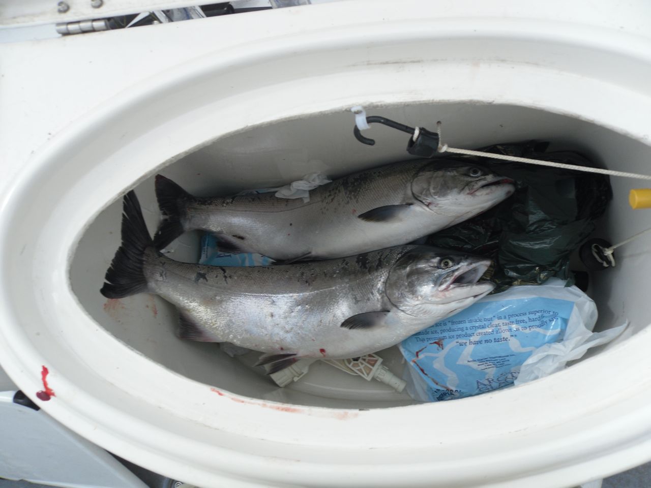 Fishing the Columbia River with JP Phipps Tech Computing